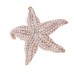 Five pointed star personalized brooch jewelry clothing accessories