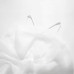Fashionable transparent hard yarn large fan-shaped jumpsuit