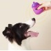 Latex grinding teeth makes a sound surprised by the small eggplant purple not falling pine nut toy