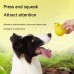Latex teasing and frustrating frog yellow duck making sounds grinding teeth to relieve boredom