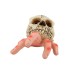 Halloween skull simulation hand horror courtyard resin ornament Ghost Festival skull conch ghost hand parody decoration