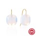 Luxury Crystal Zircon Stud Earrings for Women s925 Sterling Silver Simple Piercing Hook Earrings Exquisite Jewelry Gifts