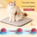 Cat Toy Gravity Intelligent Red Rope Rolling Ball Electric Teasing Cat Ball Grind Teeth and Bite Resistant Self Enjoyment
