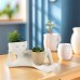 Funny Resin Succulent Pot: Relaxing - pose Figure with Pot Planter, Drainage Hole, Ideal for Succulents and Cacti 