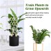 Garden Plant Trellis Home Wooden Pot Climbing Pergola Balcony Decoration Support Flower Arrangement Supports