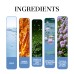 Magnet Charming Men Perfume, Tea Fragrance Natural Fresh Fragrance Release Charm Couple Dating Men Atmosphere Niche Perfume