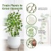 Garden Plant Trellis, Home Wooden Geometric Molding Decorative Support Flower Arrangements Climbing Pergola