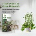 Garden Plant Trellis, Home Wooden Geometric Molding Decorative Support Flower Arrangements Climbing Pergola