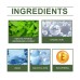 Herbal Acne Cream Hydrates, Moisturizes, Improves Skin, Details Pores, And Lightenes Blemishes