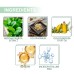 Silky Touch Wax Strips, Mild Non-Irritating Moisturizing Refreshing Clean Face Lip Hair Removal Wax