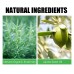 Rosemary Hair Care Nourish Hair Soft Fluffy Strong Moisturizing Root Hair Care Gift Set