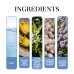Men's Perfume Bergamot Natural Light Fragrance Fresh Charm Refreshing Atmosphere Carry Men's Dating Perfume