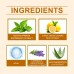 Herbal Mouthwash, Herbal Ingredients Gently Clean Teeth Odor Daily Care Mouthwash