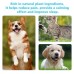 Pet Glucosamine Drops Relieve Pain Of Bones And Joints For Pets Body Care For Cats And Dogs Pet Glucosamine Drops Relieve Pain Of Bones And Joints For Pets Body Care For Cats And Dogs