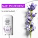 Lavender Sleep Stick, Relieves Body Fatigue To Help Sleep Body Care Pamper Sleep Stick