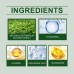Green Tea Protective Cream Outdoor Protective Refreshing Smooth Delicate Facial Acne Skin Daily Care Cream Green Tea Protective Cream Outdoor Protective Refreshing Smooth Delicate Facial Acne Skin Daily Care Cream