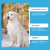 Dog Syrup, Pet Dogs Absorb Nutrition Care Health Special Maintenance Supplement Syrup