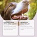 Pet Toothbrush Pen Dog Cat Tartar Stone Cleaning Remove Bad Breath Remove Odor Cleaning Pen