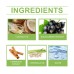 Pet Odor Spray, Indoor Pet Area Odor Cleaning And Fragrance Lasting Guardian Refreshing Spray