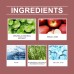 Exfoliating And Brightening Serum, Moisturizing, Cleansing, Hydrating And Brightening Facial