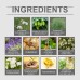 Organic Valerian Ointment Valerian Ointment Night Care Body Repair Massage Treatment Cream