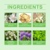 Grease Cream Body Hair Root Oily Skin Treatment Apply Scalp Cream