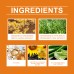 Moisturizing Anti-Sweat Facial Lotion Moisturizing Skin Care Moisturizing Oil Control Tender Skin Essence Facial Lotion