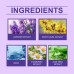 Lavender Essential Oil Sleep Spray Pamper Helps You Fall Asleep Quickly, Refreshing The Room And Relieving Fatigue