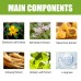 Men's Body Massage Essential Oil, Men's Toning And Energizing Body Care Essential Oil