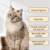 Pet Shampoo, Gentle Cleansing Of Pet Cat And Dog Hair With Smooth Unknotted Shampoo Pet Shampoo, Gentle Cleansing Of Pet Cat And Dog Hair With Smooth Unknotted Shampoo