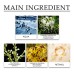 Neck Skin Firming Serum, Fade Neck Line Double Chin Firming & Brightening Swan Neck Line Essence