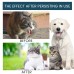 Pet Immune Oral Drops, Special Nutritional And Immune Health Drops For Cats And Dogs Pet Immune Oral Drops, Special Nutritional And Immune Health Drops For Cats And Dogs