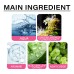 Gynecological Care Gel, A Woman's Body Clean Moist Odor To Alleviate Discomfort Care Gel