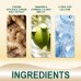 Ginger Hair Ointment, Care For Hair Follicles, Strengthen Hair, Moisturize Hair, Prevent Hair Breakage And Dense Hair Care Cream Ginger Hair Ointment, Care For Hair Follicles, Strengthen Hair, Moisturize Hair, Prevent Hair Breakage And Dense Hair Care Cream