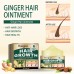 Ginger Hair Ointment, Care For Hair Follicles, Strengthen Hair, Moisturize Hair, Prevent Hair Breakage And Dense Hair Care Cream Ginger Hair Ointment, Care For Hair Follicles, Strengthen Hair, Moisturize Hair, Prevent Hair Breakage And Dense Hair Care Cream