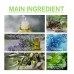 Rosemary Essential Oil For Hair Care, Anti-Frizz, Long Lasting, Soft Stay, Repair, Perm And Dye Hair Care