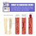 Leg Care Cream Gentle Care For Leg Discomfort Daily Moisturizing Maintenance Topical Massage Cream