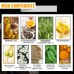 Men's Massage Essential Oil Men's Massage Care Essential Oil Body Care Essential Oil