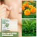 Jaysuing Waterproof Invisible Acne Patch Lighten Acne Acne Print Moisturizing Repair Clear Patch