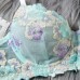 Summer Embroidered Bra Sexy Underwear Bra Set Two Piece Set