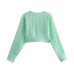 Short Hollow Knit Top
