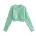 Short Hollow Knit Top