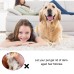 Pet Hair Growth Spray for Cats and Dogs - Hair Care Treatment for Damaged Follicles and Hair Loss