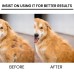 Pet Hair Growth Spray for Cats and Dogs - Hair Care Treatment for Damaged Follicles and Hair Loss