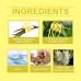 EELHOE Ylang Ylang Evening Body Perfume Spray, Light Fragrance Soft Fragrance With Natural Fresh And Not Oily Light Fragrance