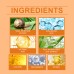 Hoygi Snail Facial Essence Gentle Hydrating Moisturizing Facial Skin Nourishing Care Essence