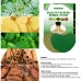 South Moon Moxa Joint Shoulder Patch Shoulder Warming Moxibustion Patch Cervical Pain Relief Patch Health Care Patch