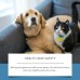 Jue-Fish Pet Repellent Cream, Pet Repellent Cream Cat And Dog Bite Disorderly Urine Bed Exclusion Zone Repellent Cream Jue-Fish Pet Repellent Cream, Pet Repellent Cream Cat And Dog Bite Disorderly Urine Bed Exclusion Zone Repellent Cream