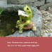 Frog ornament creative flower pot micro landscape toad