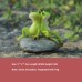 Frog ornament creative flower pot micro landscape toad